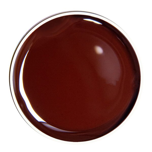 PAINTING GEL BROWN 07 10g.