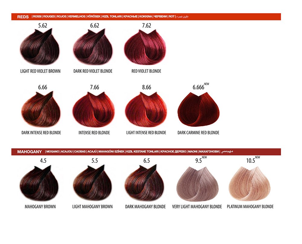 LIFE COLOR PLUS ΒΑΦΗ 100ml - Image 7
